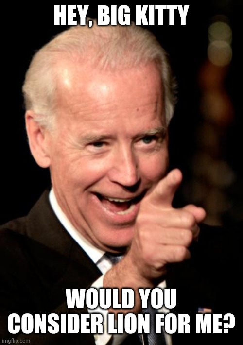 Smilin Biden Meme | HEY, BIG KITTY WOULD YOU CONSIDER LION FOR ME? | image tagged in memes,smilin biden | made w/ Imgflip meme maker