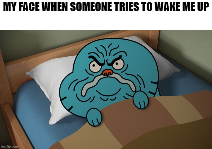 Me waking up | MY FACE WHEN SOMEONE TRIES TO WAKE ME UP | image tagged in grumpy gumball | made w/ Imgflip meme maker