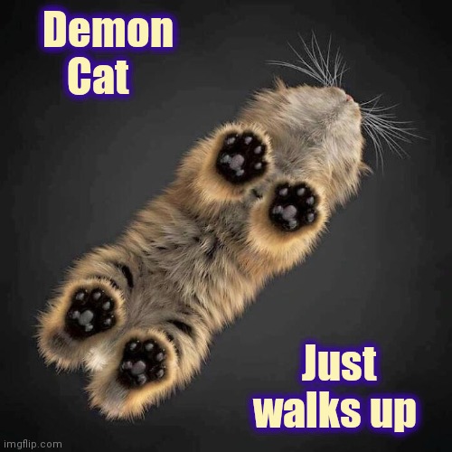 Demon
       Cat Just        
walks up | made w/ Imgflip meme maker