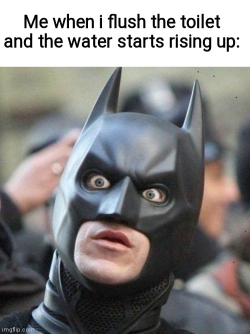 Shocked Batman Memes - Imgflip