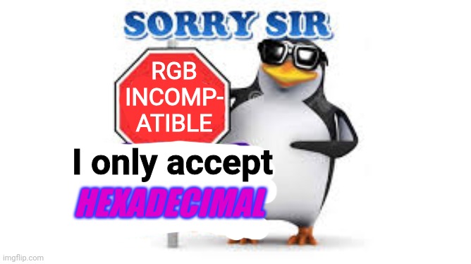 NO Anime Allowed | RGB
INCOMP-
ATIBLE I only accept HEXADECIMAL | image tagged in no anime allowed | made w/ Imgflip meme maker
