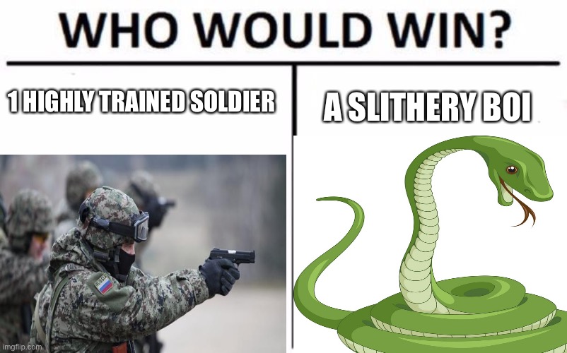 nah for real tho who will win | 1 HIGHLY TRAINED SOLDIER; A SLITHERY BOI | image tagged in snakes,army | made w/ Imgflip meme maker