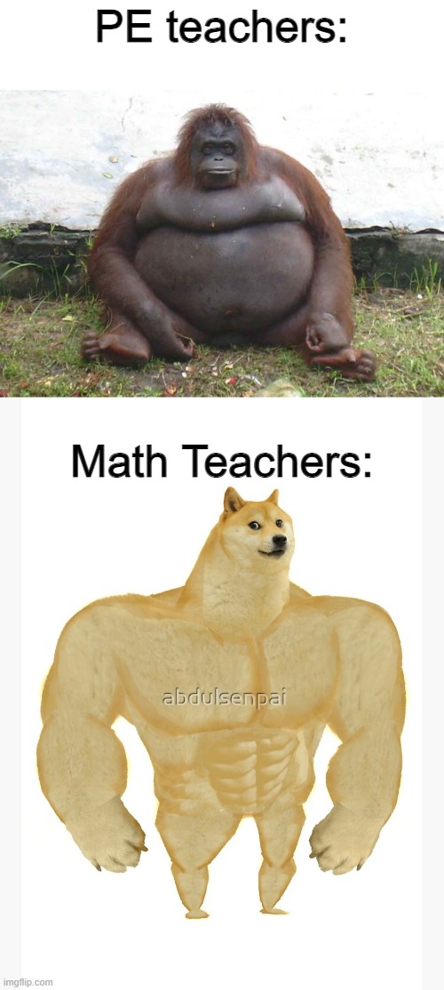 Monke and Chunky | PE teachers:; Math Teachers: | image tagged in gym memes,teacher meme,school meme,buff doge,le monke | made w/ Imgflip meme maker