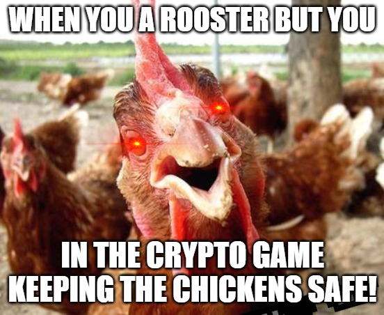 THAT ROOSTER LOVE | WHEN YOU A ROOSTER BUT YOU; IN THE CRYPTO GAME KEEPING THE CHICKENS SAFE! | image tagged in chicken,rooster | made w/ Imgflip meme maker