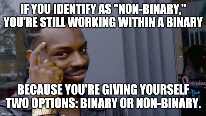 Something cool I read just now | IF YOU IDENTIFY AS "NON-BINARY," YOU'RE STILL WORKING WITHIN A BINARY; BECAUSE YOU'RE GIVING YOURSELF TWO OPTIONS: BINARY OR NON-BINARY. | image tagged in memes,roll safe think about it | made w/ Imgflip meme maker