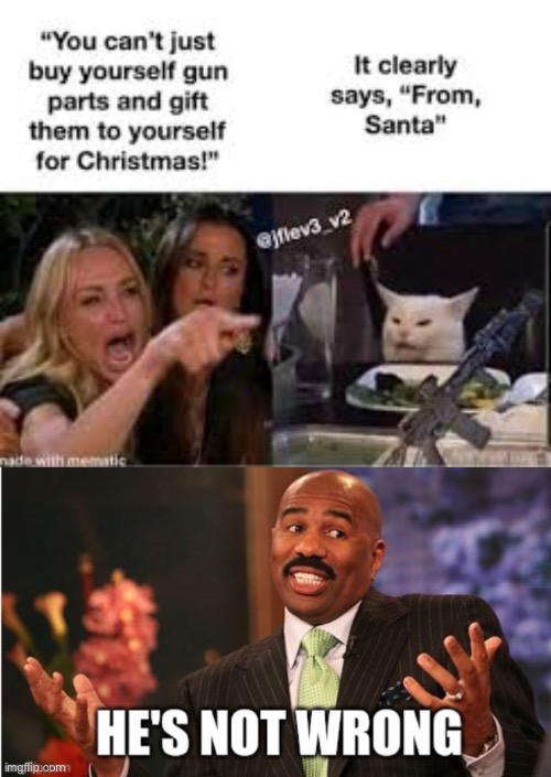 LOL | image tagged in well he's not 'wrong',dark humor,guns,roll safe think about it,smort,christmas | made w/ Imgflip meme maker