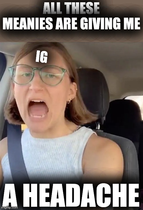 Unhinged Liberal Lunatic Idiot Woman Meltdown Screaming in Car | ALL THESE MEANIES ARE GIVING ME A HEADACHE IG | image tagged in unhinged liberal lunatic idiot woman meltdown screaming in car | made w/ Imgflip meme maker