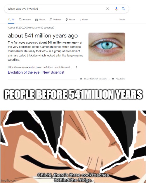 before 541 million ears | PEOPLE BEFORE 541MILION YEARS | image tagged in blank white template,goku,blind | made w/ Imgflip meme maker