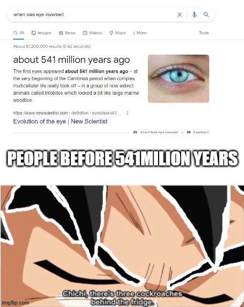 before 541 million ears | image tagged in goku,blind,funny | made w/ Imgflip meme maker