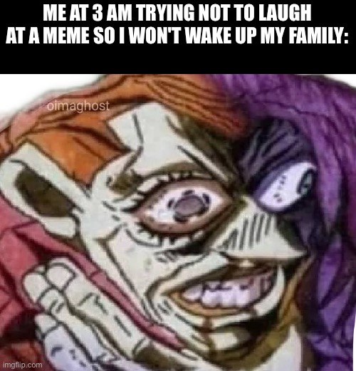 Dippio choking | ME AT 3 AM TRYING NOT TO LAUGH AT A MEME SO I WON'T WAKE UP MY FAMILY: | image tagged in dippio choking | made w/ Imgflip meme maker