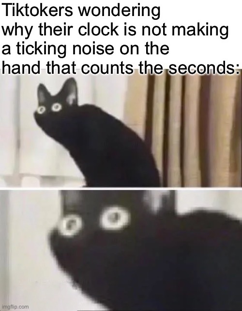 Oh no cat | Tiktokers wondering why their clock is not making a ticking noise on the hand that counts the seconds: | image tagged in oh no black cat | made w/ Imgflip meme maker