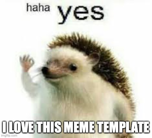 haha yes | I LOVE THIS MEME TEMPLATE | image tagged in haha yes | made w/ Imgflip meme maker