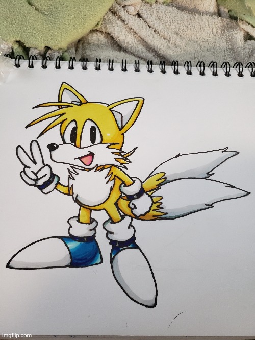 Tails | image tagged in tails the fox | made w/ Imgflip meme maker