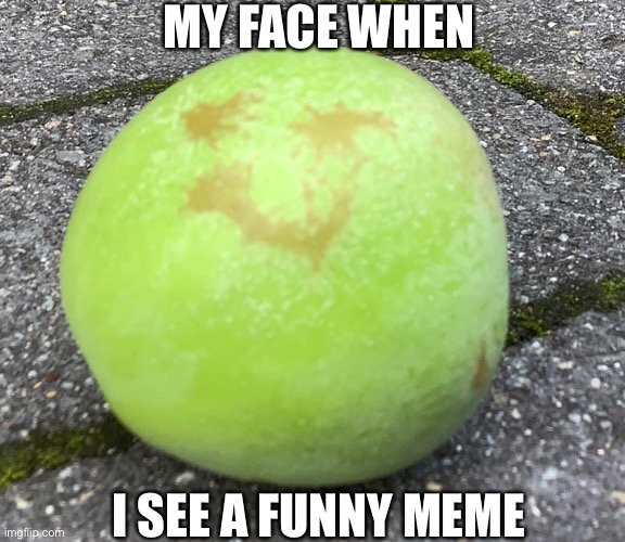 I dunno |  MY FACE WHEN; I SEE A FUNNY MEME | image tagged in apple | made w/ Imgflip meme maker