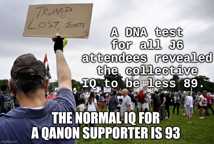Normal IQ QAnon Washington DC J6 rally Trump Lost | A DNA test for all J6 attendees revealed the collective IQ to be less 89. THE NORMAL IQ FOR A QANON SUPPORTER IS 93 | image tagged in trump,rally,election,washington,republican,qanon | made w/ Imgflip meme maker