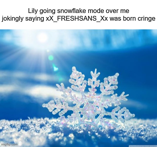 snowflake | Lily going snowflake mode over me jokingly saying xX_FRESHSANS_Xx was born cringe | image tagged in snowflake | made w/ Imgflip meme maker