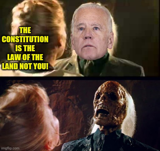 THE CONSTITUTION IS THE LAW OF THE LAND NOT YOU! | made w/ Imgflip meme maker