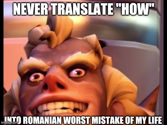 Ratjunk | NEVER TRANSLATE "HOW"; INTO ROMANIAN WORST MISTAKE OF MY LIFE | image tagged in ratjunk | made w/ Imgflip meme maker