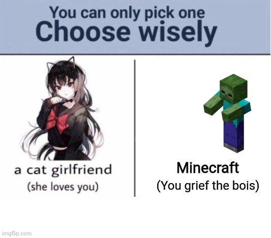 1 or 2 | Minecraft; (You grief the bois) | image tagged in choose wisely | made w/ Imgflip meme maker