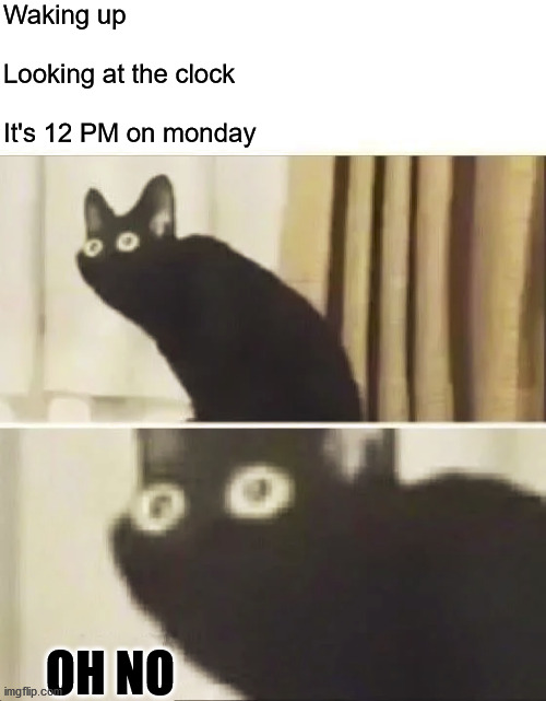 When your work start at 7 AM | Waking up
 
Looking at the clock
 
It's 12 PM on monday; OH NO | image tagged in oh no black cat | made w/ Imgflip meme maker