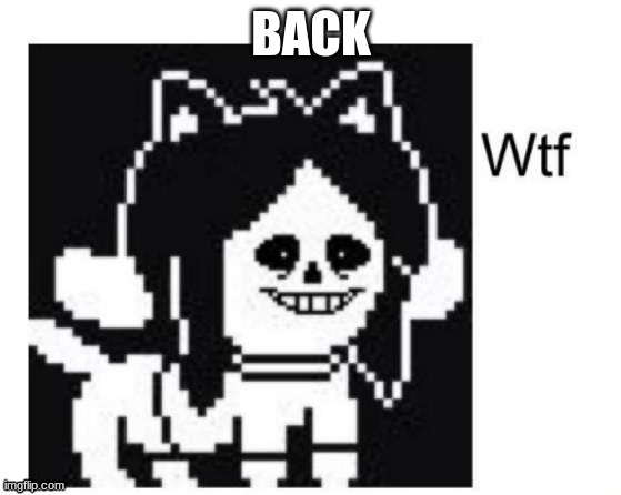 wtf | BACK | image tagged in wtf | made w/ Imgflip meme maker