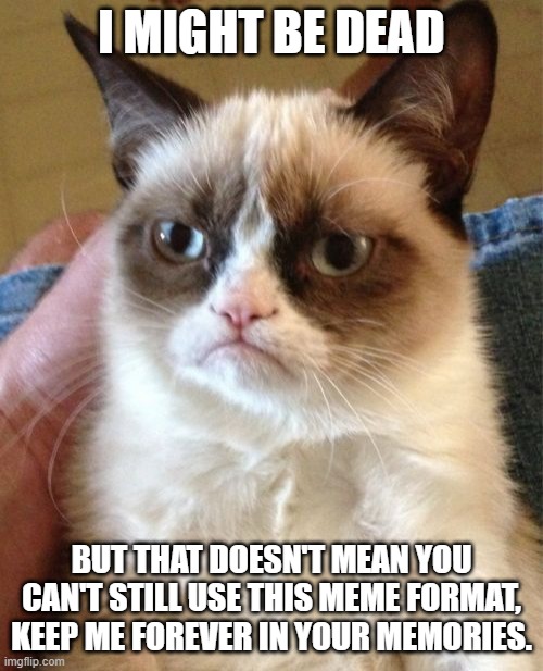 Never forget those who have fallen that gave us these memes. | I MIGHT BE DEAD; BUT THAT DOESN'T MEAN YOU CAN'T STILL USE THIS MEME FORMAT, KEEP ME FOREVER IN YOUR MEMORIES. | image tagged in memes,grumpy cat | made w/ Imgflip meme maker