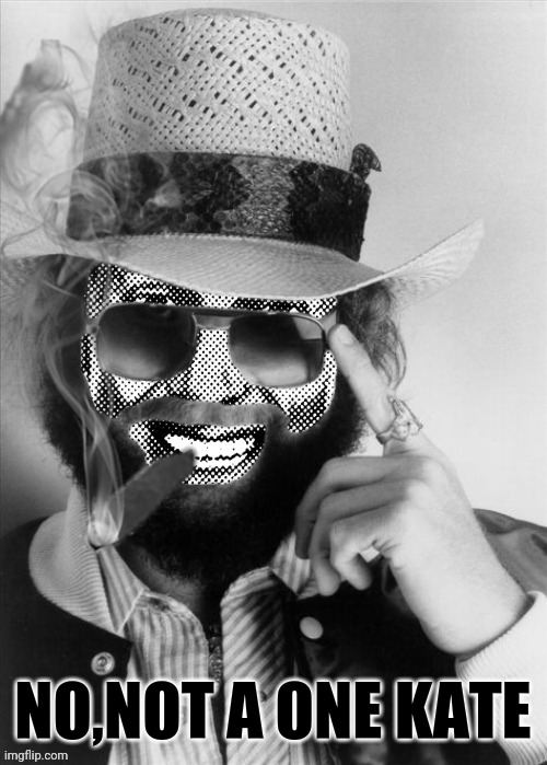 Hank Strangmeme Jr | NO,NOT A ONE KATE | image tagged in hank strangmeme jr | made w/ Imgflip meme maker