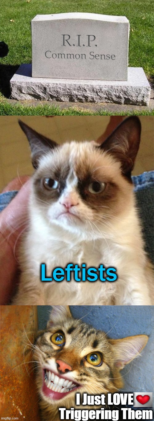 Use FACTS If You Really Want To Aggravate The Heck Out of 'Em! | Leftists; I Just LOVE 
Triggering Them | image tagged in politics,triggered leftists,grumpy cat,laughing cat,facts | made w/ Imgflip meme maker