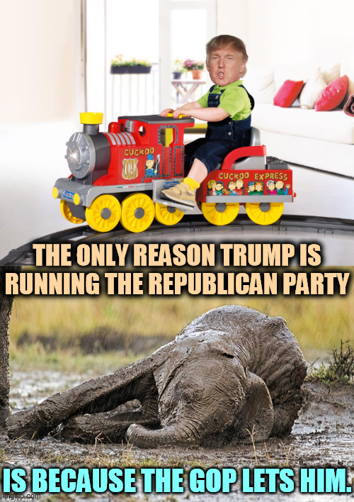 And he's running it into the ground. Short term gain, long term death. | THE ONLY REASON TRUMP IS RUNNING THE REPUBLICAN PARTY; IS BECAUSE THE GOP LETS HIM. | image tagged in trump more mature than usual,dying elephant the gop after trump,trump,baby,republican party,dead | made w/ Imgflip meme maker