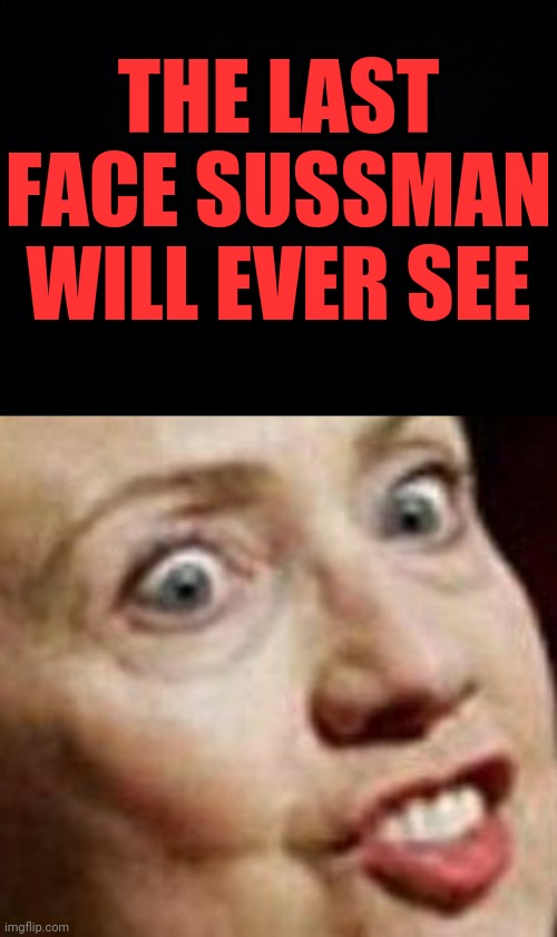 Sussman didn't kill himself | THE LAST FACE SUSSMAN WILL EVER SEE | image tagged in hillary clinton fish,jeffrey epstein,hillary clinton | made w/ Imgflip meme maker