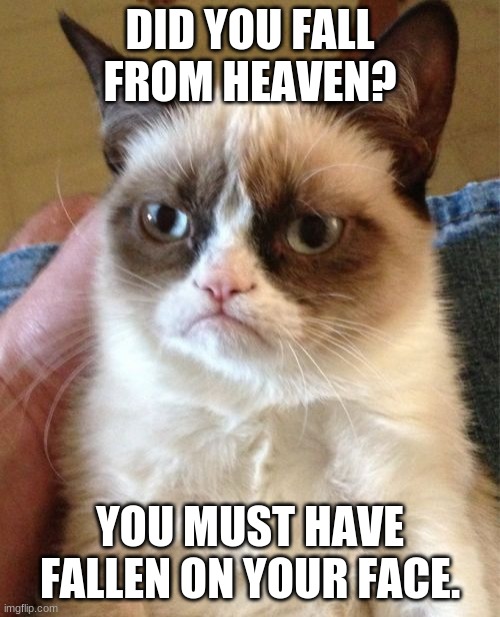 Grumpy Cat | DID YOU FALL FROM HEAVEN? YOU MUST HAVE FALLEN ON YOUR FACE. | image tagged in memes,grumpy cat | made w/ Imgflip meme maker