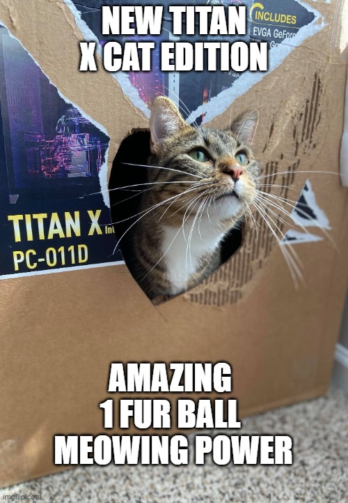 Cat power pc | NEW TITAN X CAT EDITION; AMAZING 
1 FUR BALL 
MEOWING POWER | image tagged in 1 cat power pc | made w/ Imgflip meme maker