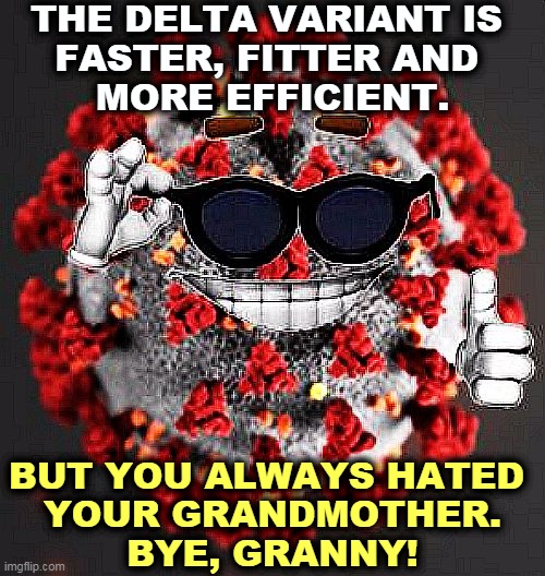 Welcome to the Republican Voter Extermination Program. | THE DELTA VARIANT IS 
FASTER, FITTER AND 
MORE EFFICIENT. BUT YOU ALWAYS HATED 
YOUR GRANDMOTHER.
BYE, GRANNY! | image tagged in covid virus smile,delta,virus,kill,grandma | made w/ Imgflip meme maker