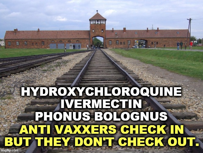 Own the libs and meet your God way ahead of schedule. | HYDROXYCHLOROQUINE
IVERMECTIN
PHONUS BOLOGNUS; ANTI VAXXERS CHECK IN
BUT THEY DON'T CHECK OUT. | image tagged in covid-19,pandemic,anti vax,pain,death | made w/ Imgflip meme maker