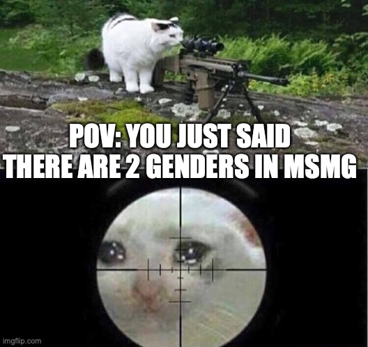 Sniper cat | POV: YOU JUST SAID THERE ARE 2 GENDERS IN MSMG | image tagged in sniper cat | made w/ Imgflip meme maker