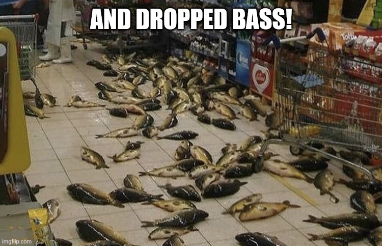 Dropped Bass | AND DROPPED BASS! | image tagged in dropped bass | made w/ Imgflip meme maker