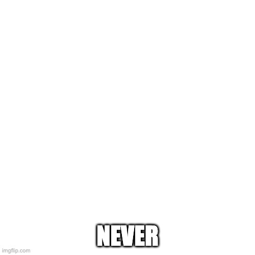 Blank Transparent Square Meme | NEVER | image tagged in memes,blank transparent square | made w/ Imgflip meme maker