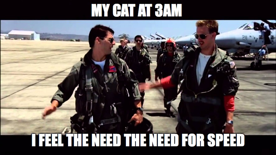 Top Gun ("I feel the need for speed") |  MY CAT AT 3AM; I FEEL THE NEED THE NEED FOR SPEED | image tagged in top gun i feel the need for speed | made w/ Imgflip meme maker
