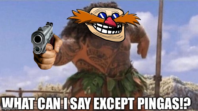 Are you joking about putting some dank stuff!? | WHAT CAN I SAY EXCEPT PINGAS!? | image tagged in pingas,memes,what can i say except you're welcome,funny,dank memes | made w/ Imgflip meme maker