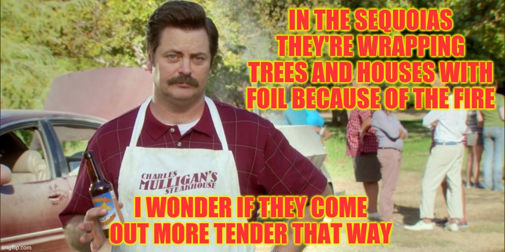 Do they smoke better that way? | IN THE SEQUOIAS THEY'RE WRAPPING TREES AND HOUSES WITH FOIL BECAUSE OF THE FIRE; I WONDER IF THEY COME OUT MORE TENDER THAT WAY | image tagged in barbecue,wildfires,memes,dark humor | made w/ Imgflip meme maker