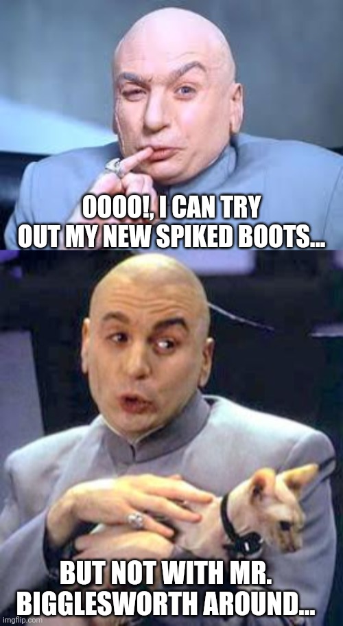 OOOO!, I CAN TRY OUT MY NEW SPIKED BOOTS... BUT NOT WITH MR. BIGGLESWORTH AROUND... | image tagged in dr evil pinky,dr evil cat | made w/ Imgflip meme maker