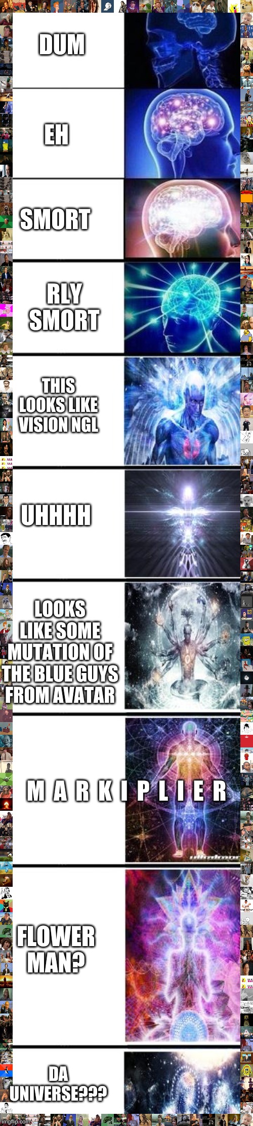 what each of these looks like to me | DUM; EH; SMORT; RLY SMORT; THIS LOOKS LIKE VISION NGL; UHHHH; LOOKS LIKE SOME MUTATION OF THE BLUE GUYS FROM AVATAR; M  A  R  K  I  P  L  I  E  R; FLOWER MAN? DA UNIVERSE??? | image tagged in expanding brain 10 panel,opinions,looks like they couldn't handle the neutron style | made w/ Imgflip meme maker