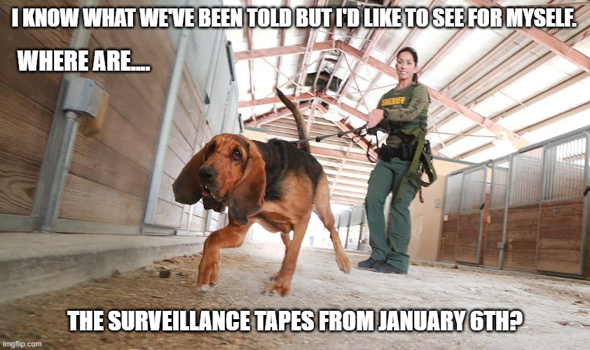 Who else is skeptical about the narrative? | I KNOW WHAT WE'VE BEEN TOLD BUT I'D LIKE TO SEE FOR MYSELF. WHERE ARE.... THE SURVEILLANCE TAPES FROM JANUARY 6TH? | image tagged in blood hound search,january 6th,democratic narrative,insurrection,media lies,control | made w/ Imgflip meme maker