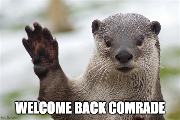 Welcome Back, Otter. | WELCOME BACK COMRADE | image tagged in welcome back otter | made w/ Imgflip meme maker