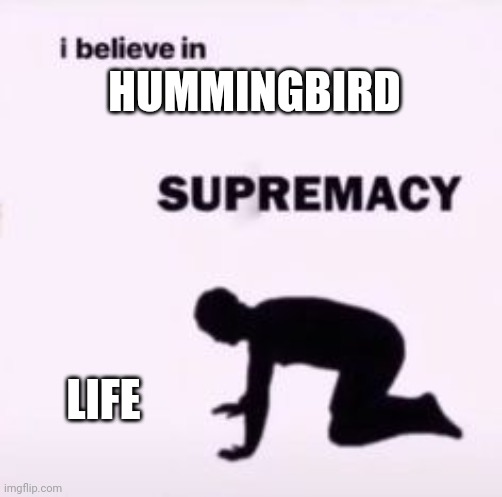 I believe in supremacy | HUMMINGBIRD; LIFE | image tagged in i believe in supremacy | made w/ Imgflip meme maker