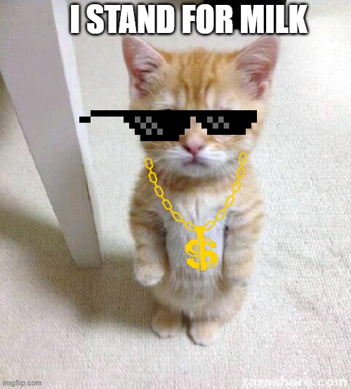 Cute Cat Meme | I STAND FOR MILK | image tagged in memes,cute cat | made w/ Imgflip meme maker