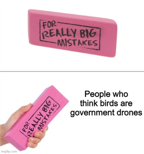 For really big mistakes | People who think birds are government drones | image tagged in for really big mistakes | made w/ Imgflip meme maker
