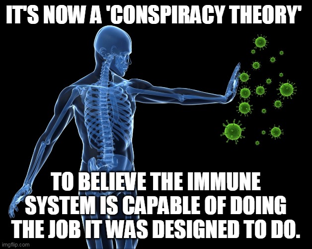 Your mask don't work, and apparently your jab don't work either. | IT'S NOW A 'CONSPIRACY THEORY'; TO BELIEVE THE IMMUNE SYSTEM IS CAPABLE OF DOING THE JOB IT WAS DESIGNED TO DO. | image tagged in immune system,covid,liberal logic | made w/ Imgflip meme maker