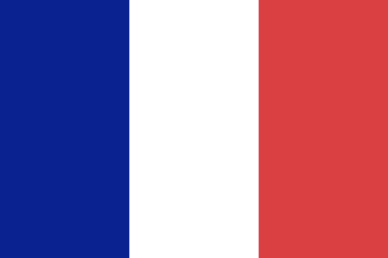 French flag Blank Meme Template