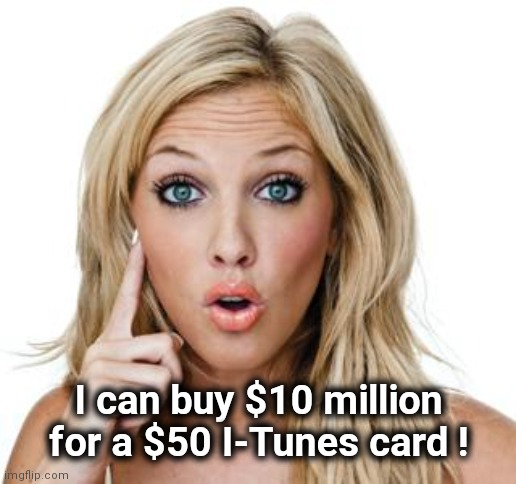 Dumb blonde | I can buy $10 million for a $50 I-Tunes card ! | image tagged in dumb blonde | made w/ Imgflip meme maker